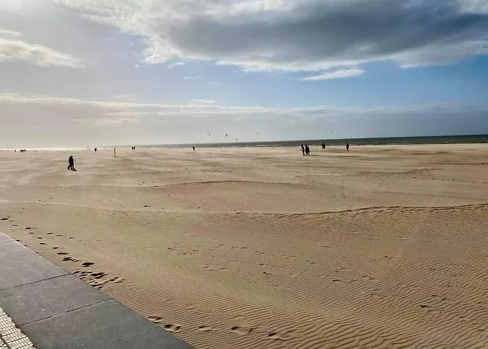 Cabine D\'O - Nieuw Appartement Dichtbij Zee!